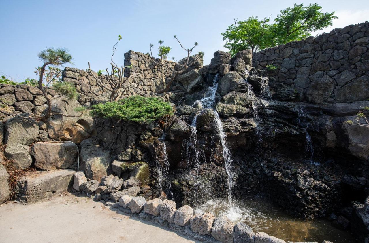 Aewol Oceanstay جيجو المظهر الخارجي الصورة